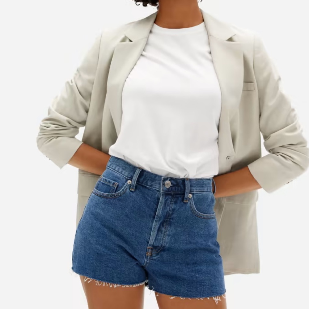 Everlane Cheeky Denim Short